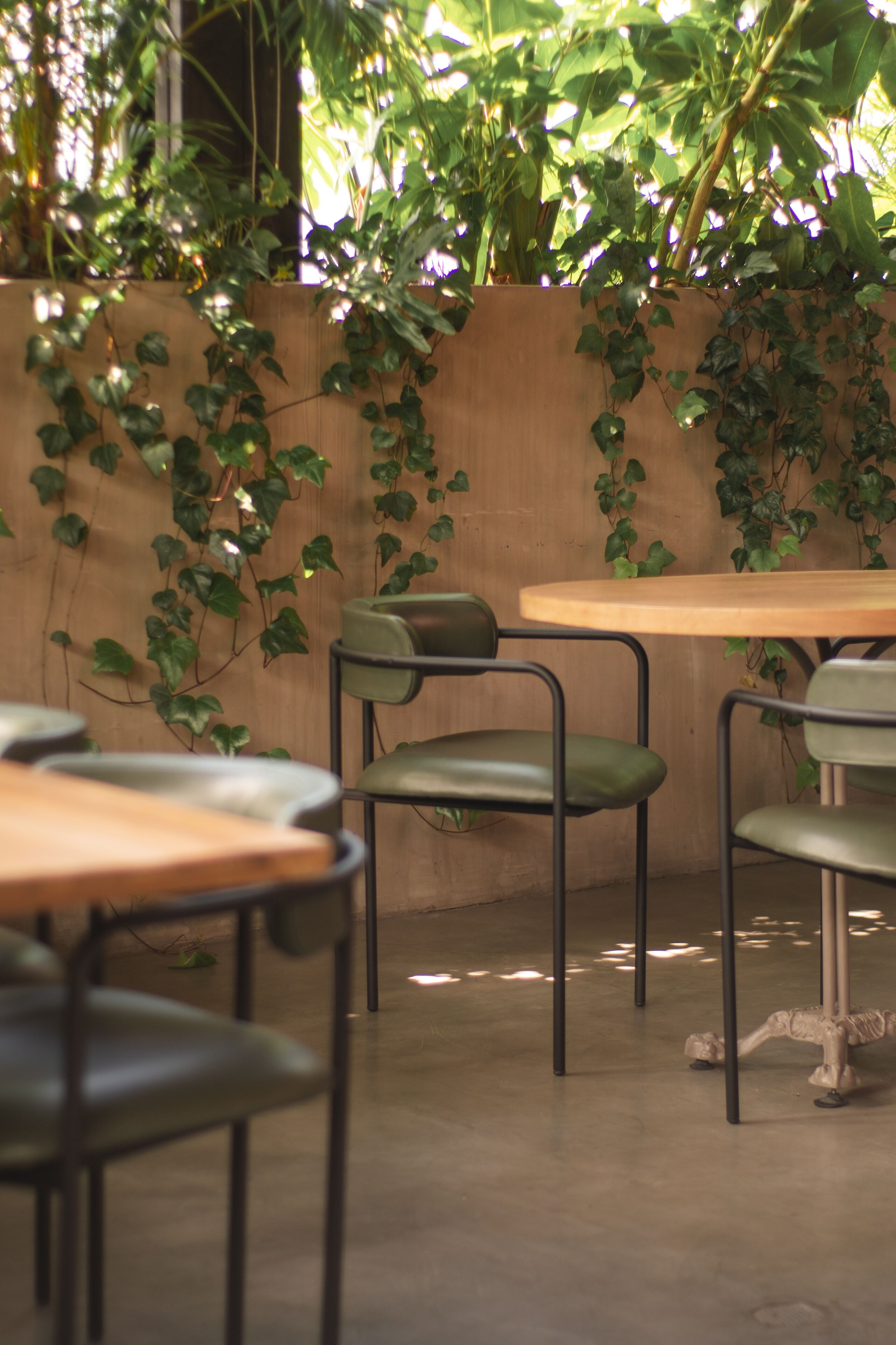 A café with wooden tables and green chairs, surrounded by a wooden wall covered with ivy.