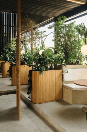 Rooftop terrace
