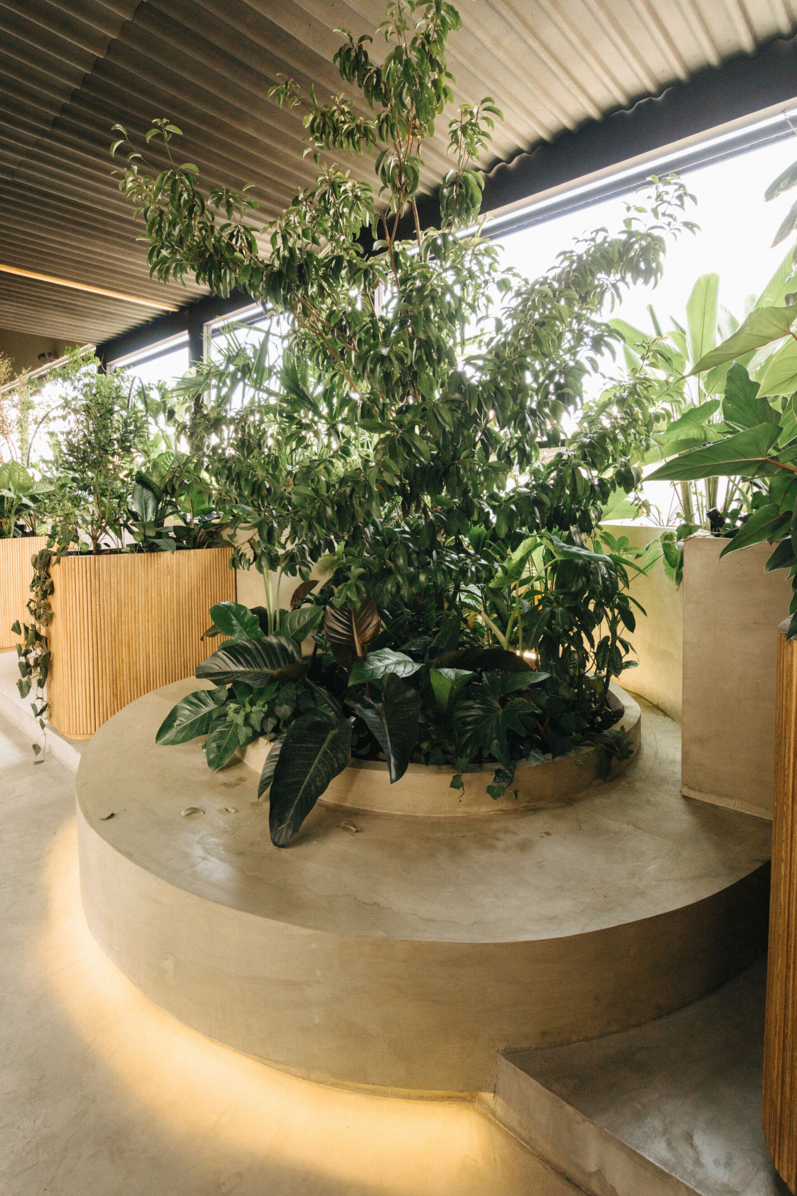A circular planter with lush green plants, a wooden bench, and a concrete floor in a modern indoor setting.