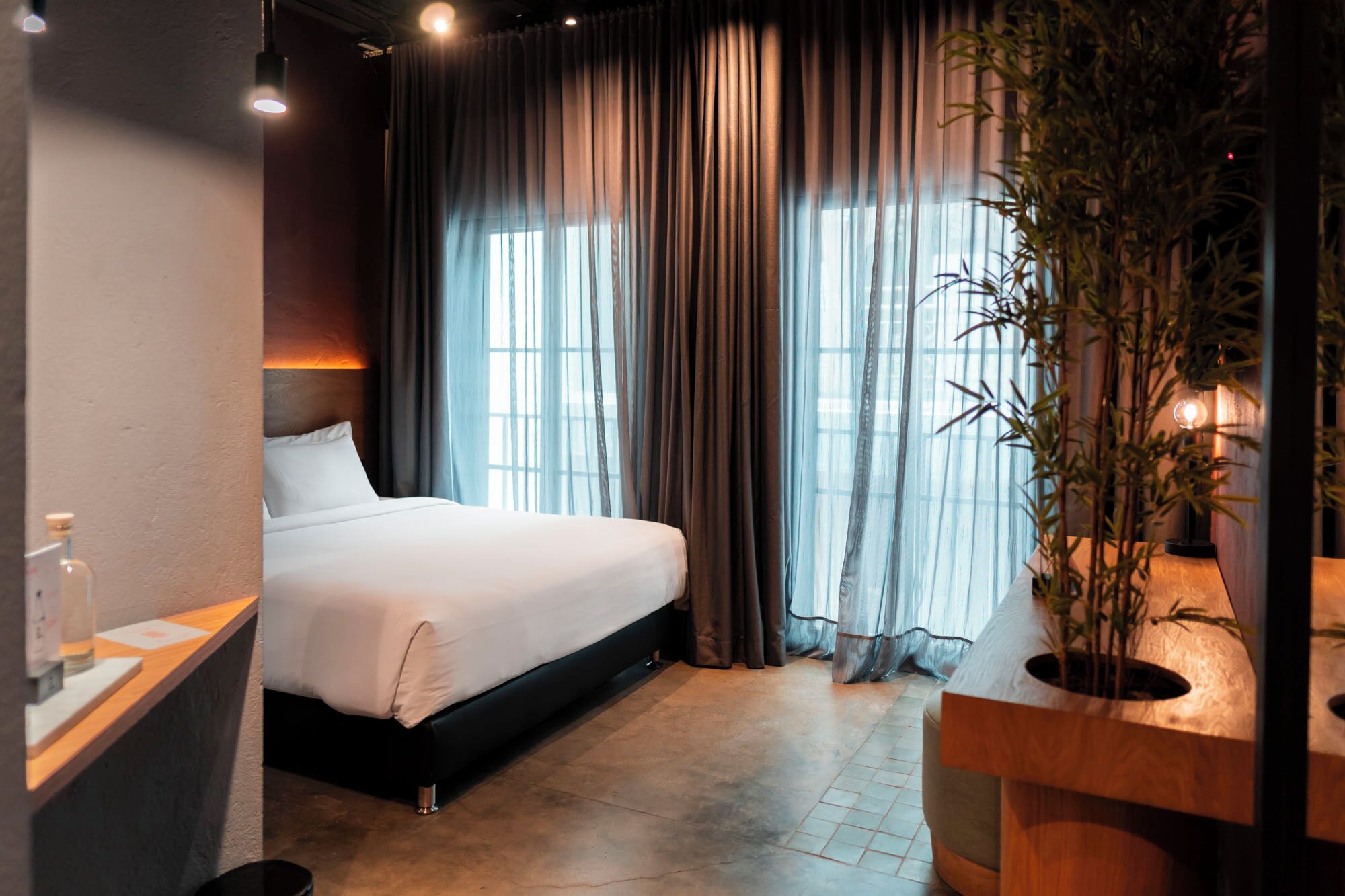 A hotel room with a bed, a desk, a plant, and a window with curtains.