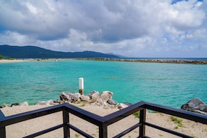 Beach/ocean view