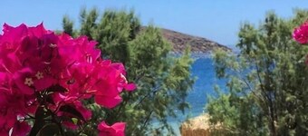 アルバトロス ホテル