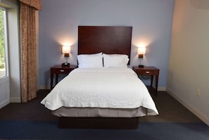 Suite, 1 Queen Bed, Non Smoking | In-room safe, iron/ironing board, rollaway beds, free wired internet