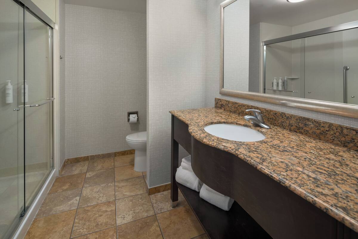 Standard Room, 1 King Bed with Sofa bed | Bathroom | Combined shower/tub, free toiletries, hair dryer, towels