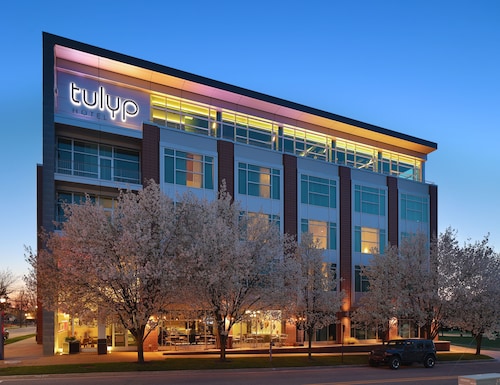 Tulyp, Tapestry Collection by Hilton