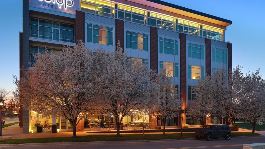 Tulyp, Tapestry Collection by Hilton