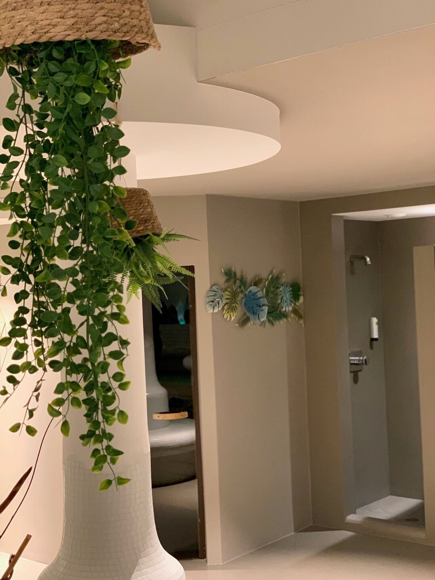 A modern bathroom with a shower, a towel rack, and a hanging plant.