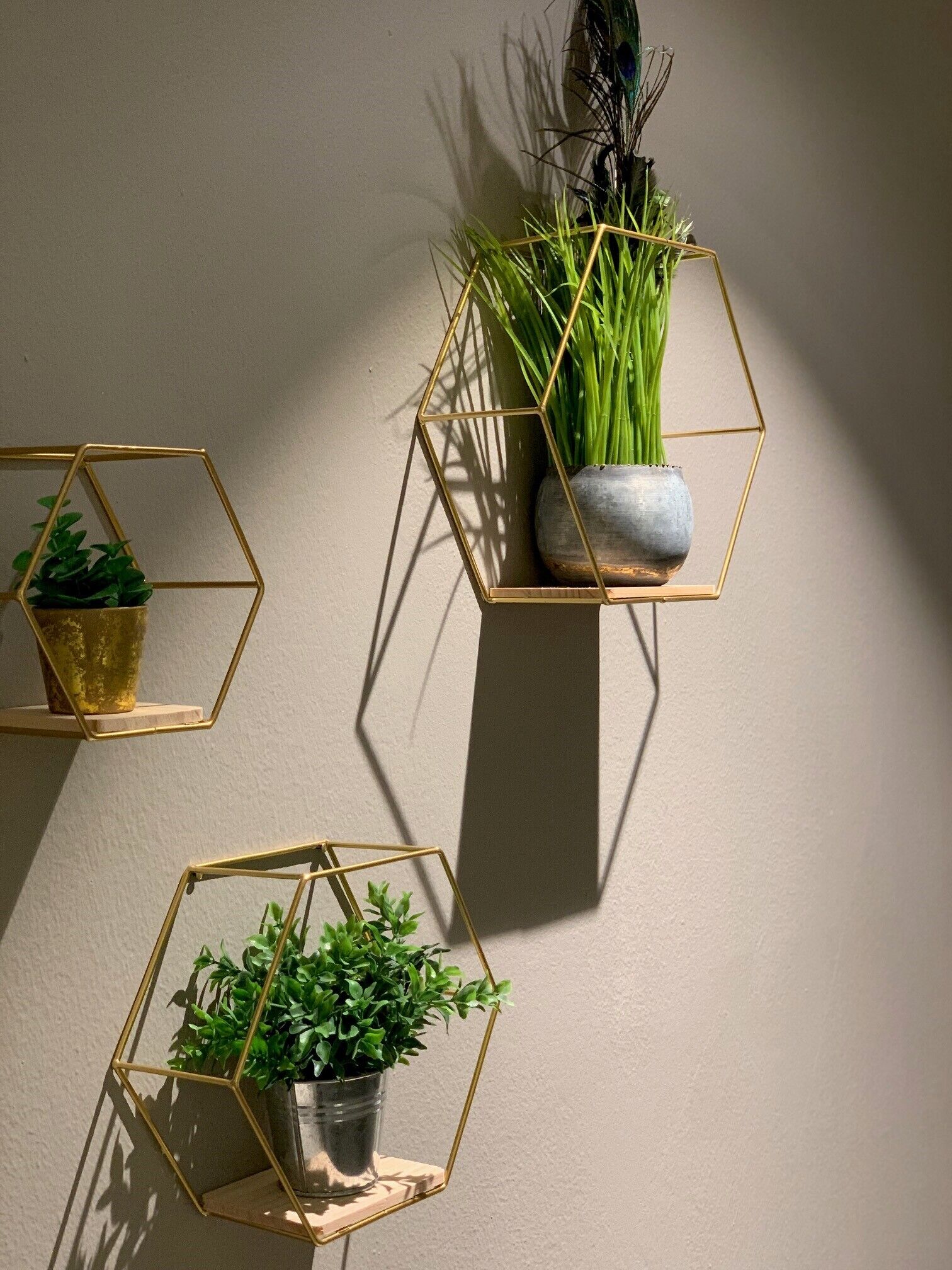 Trois jardinières hexagonales à fixer au mur, avec des plantes.