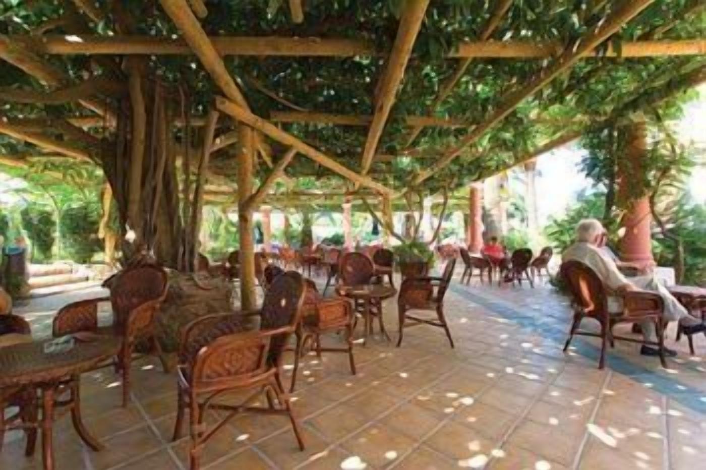 Un café al aire libre con mobiliario de madera y suelo de baldosas, rodeado de árboles.