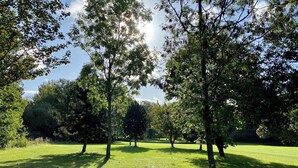 A park with trees and a grassy area.