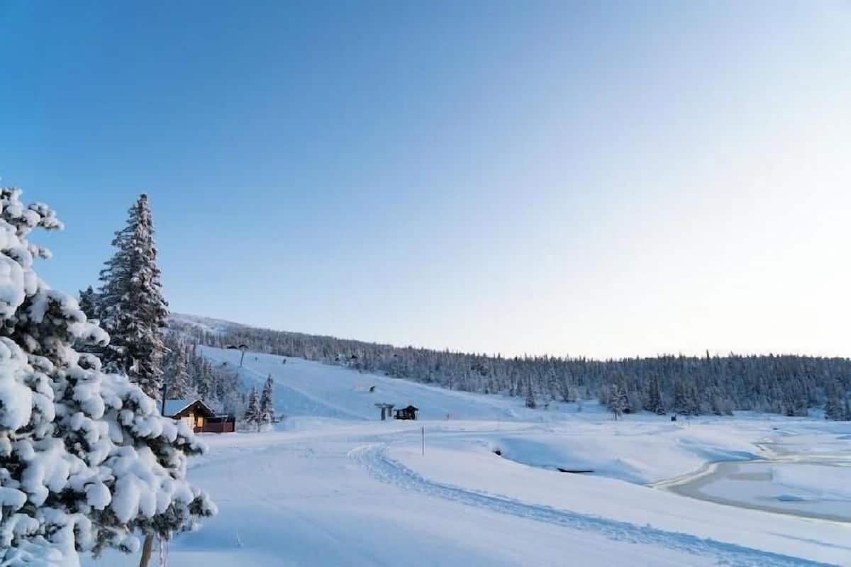 A snow-covered landscape with a cabin and a forest.