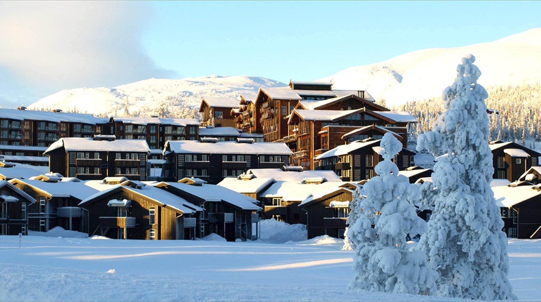 A snow-covered lodge with multiple buildings, a prominent wooden structure, and a snow-covered tree in the foreground.