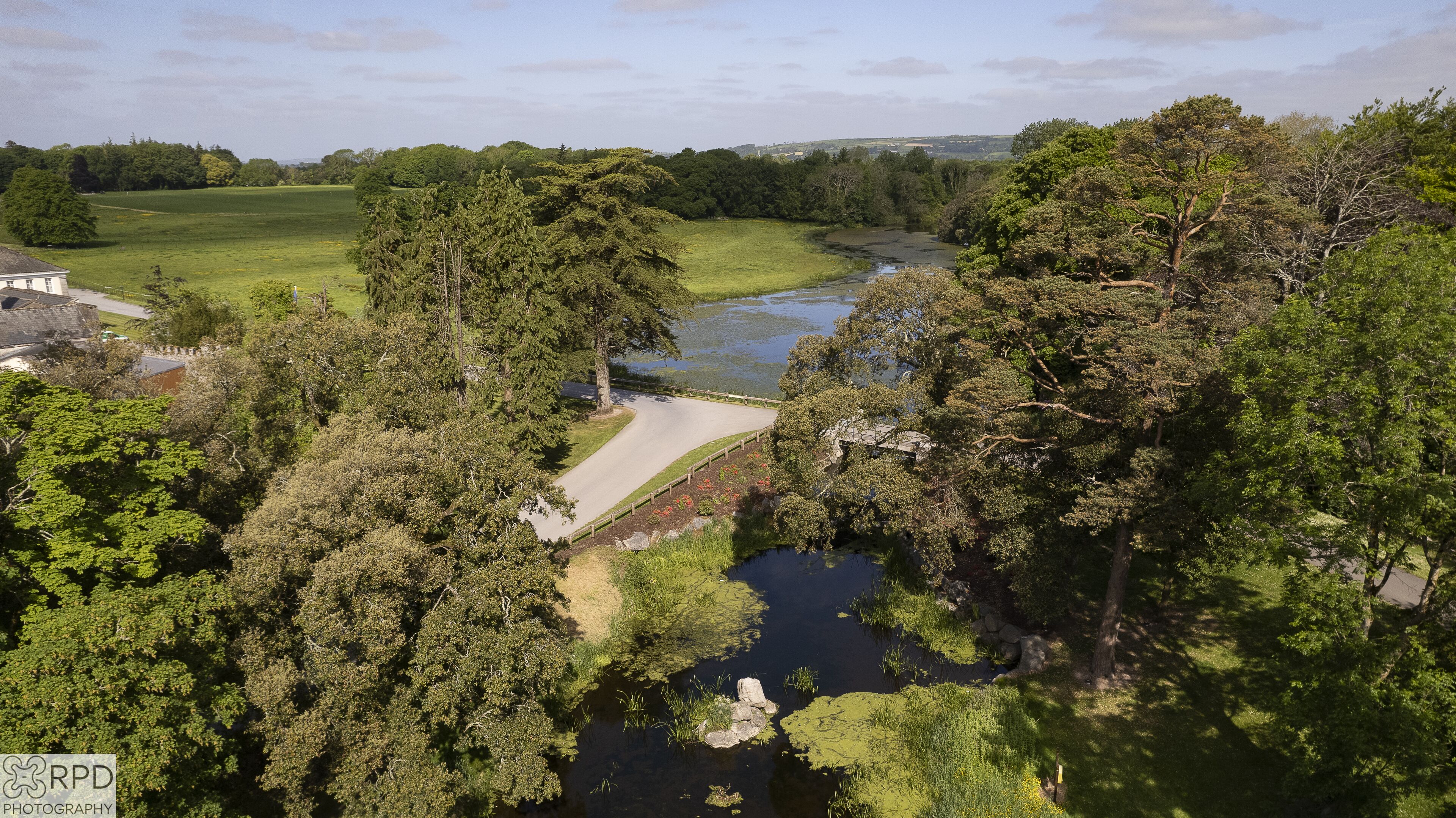 Vista junto al río con un sendero pavimentado, árboles frondosos y un edificio a la distancia.