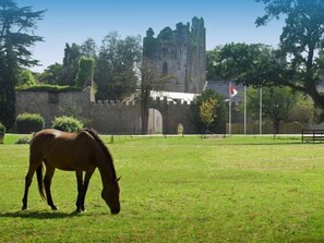 Un caballo pastando en un campo verde con un castillo al fondo.