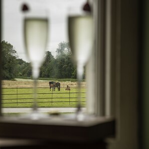Overnatningsstedets område