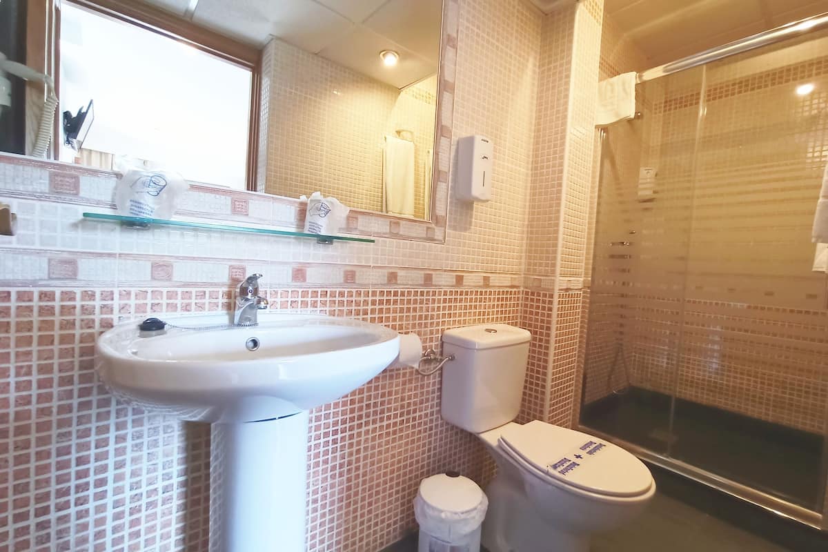 shower, free toiletries, hair dryer, towels