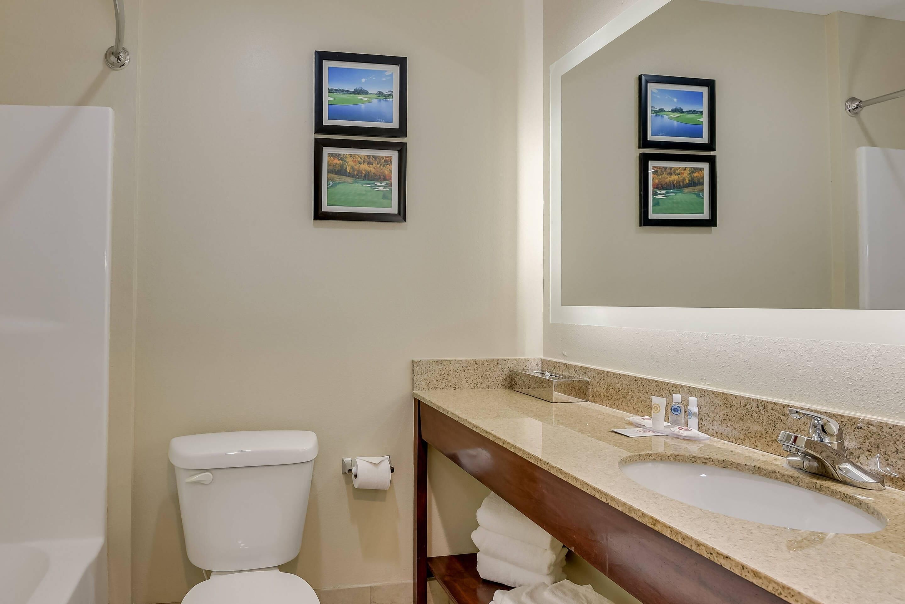 A bathroom with a toilet, sink, and mirror. There are two framed pictures on the wall.