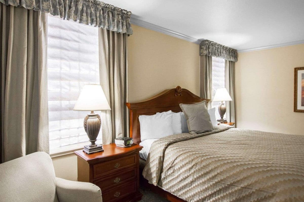 Standard Room, 1 King Bed, Non Smoking | In-room safe, desk, blackout drapes, soundproofing