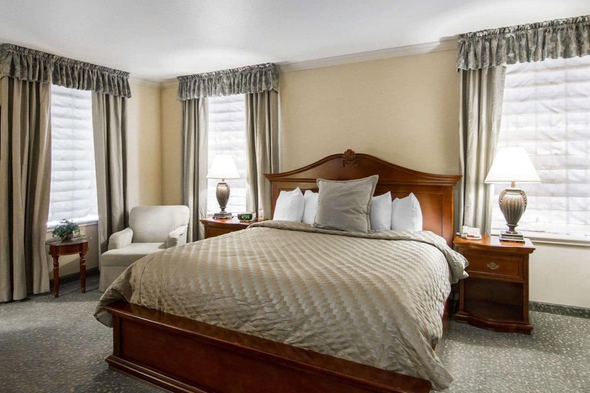 Standard Room, 1 King Bed, Non Smoking | In-room safe, desk, blackout drapes, soundproofing
