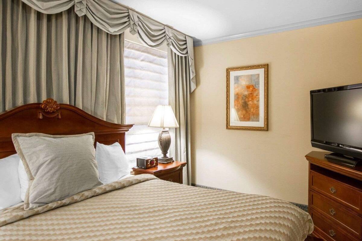 A hotel room with a large bed, a television, a nightstand with a lamp, and a framed picture on the wall.