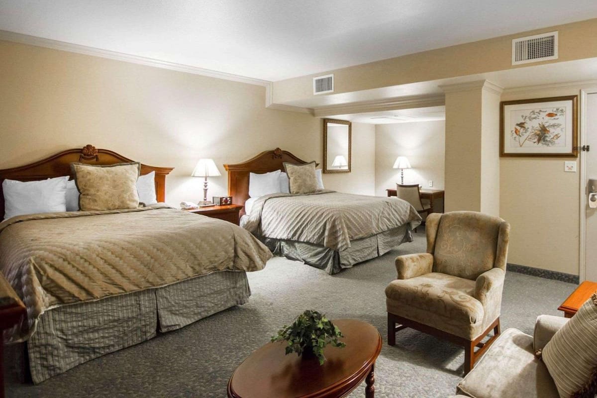 A hotel room with two beds, a chair, a small table with a plant, and a framed picture on the wall.