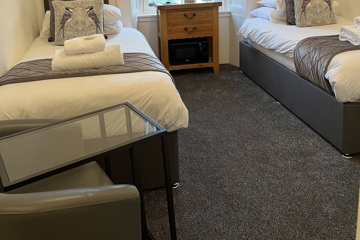 Classic Twin Room | Peralatan tempat tidur premium, peti besi dalam bilik
