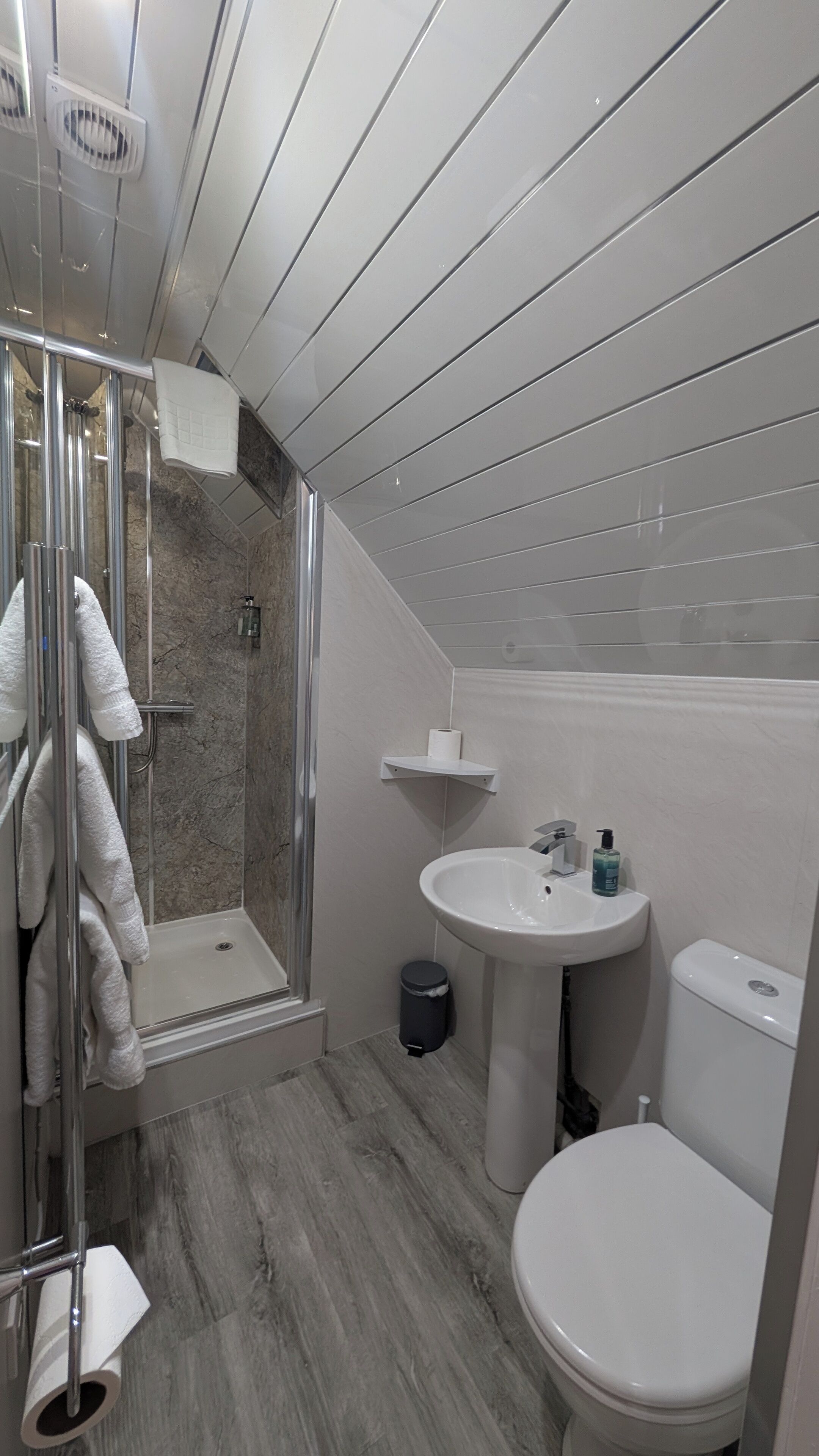 A bathroom with a glass-enclosed shower, a sink, a toilet, and a trash can.