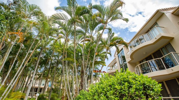 Garden - Miami Beachside Holiday Apartments (Miami)