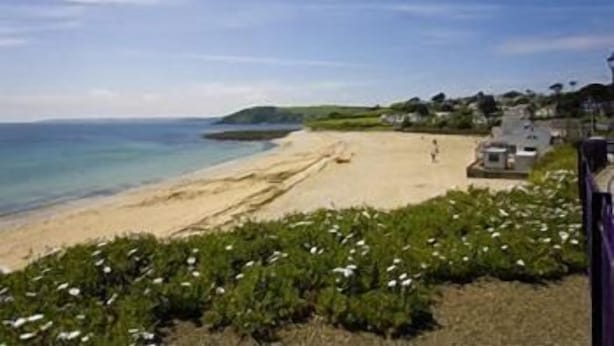 Beach/ocean view - Gyllyngvase House (Falmouth)