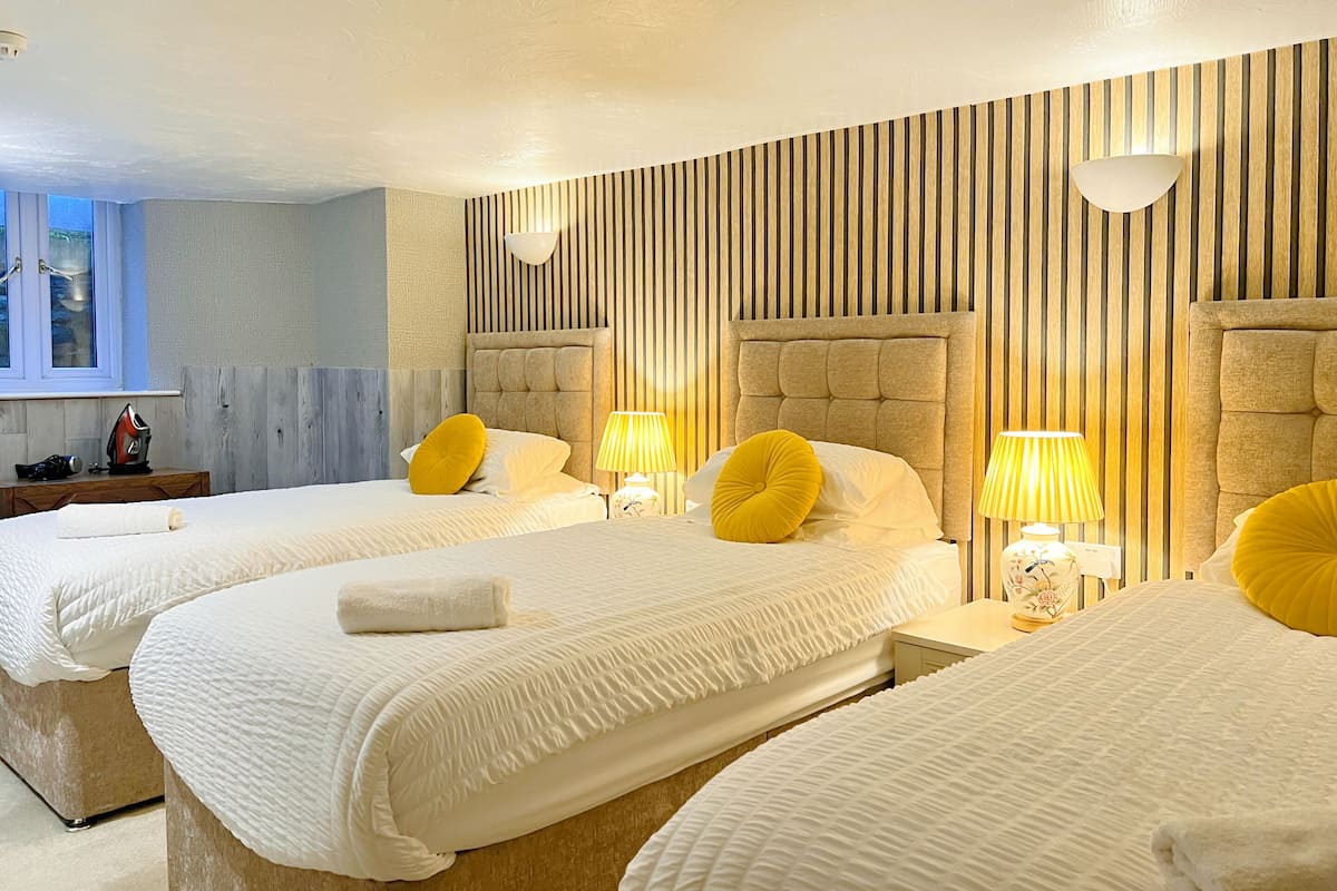 Basic Triple Room, Ensuite (Basement Youth Room)