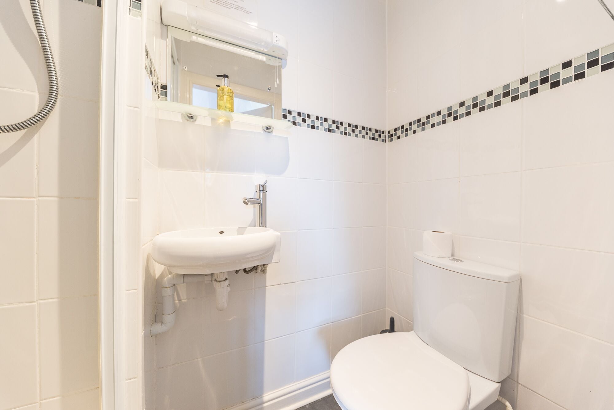 Un bagno piccolo e bianco con il water, un lavandino e una doccia.