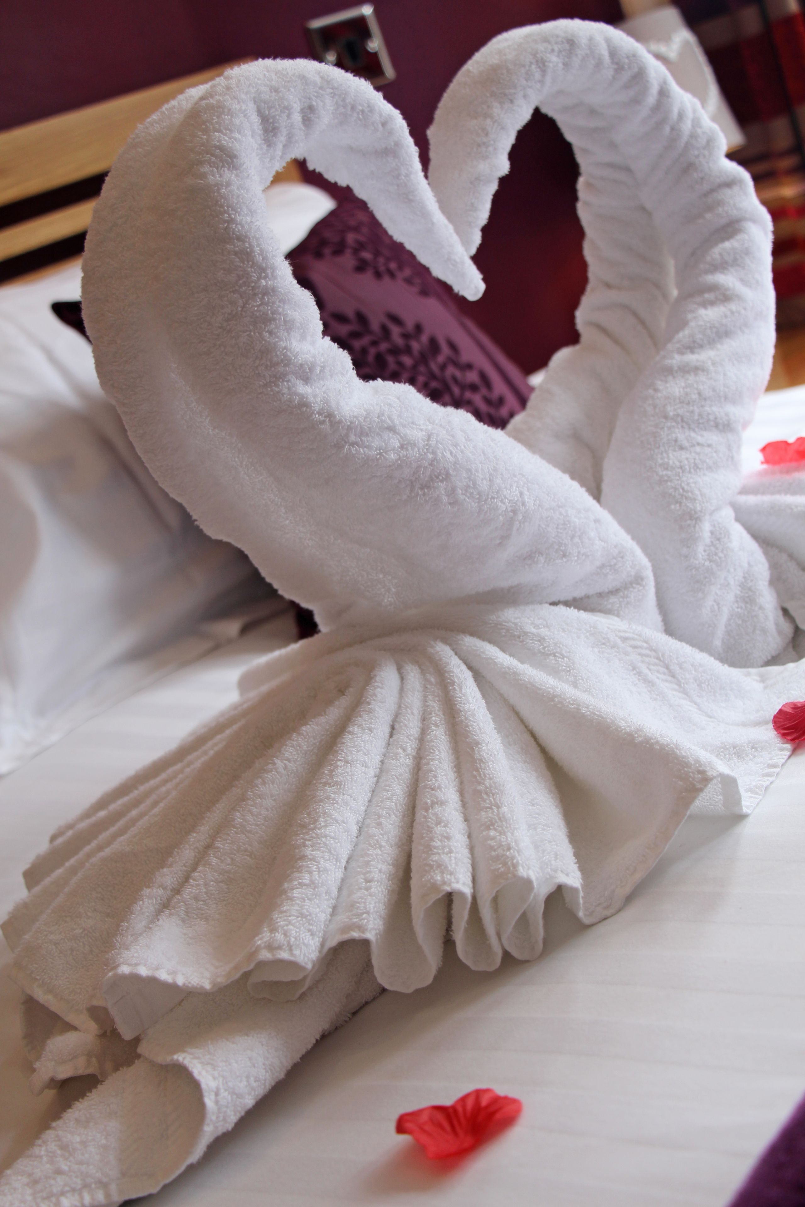 Foto - St John's Lodge Guest House incl off-site leisure club