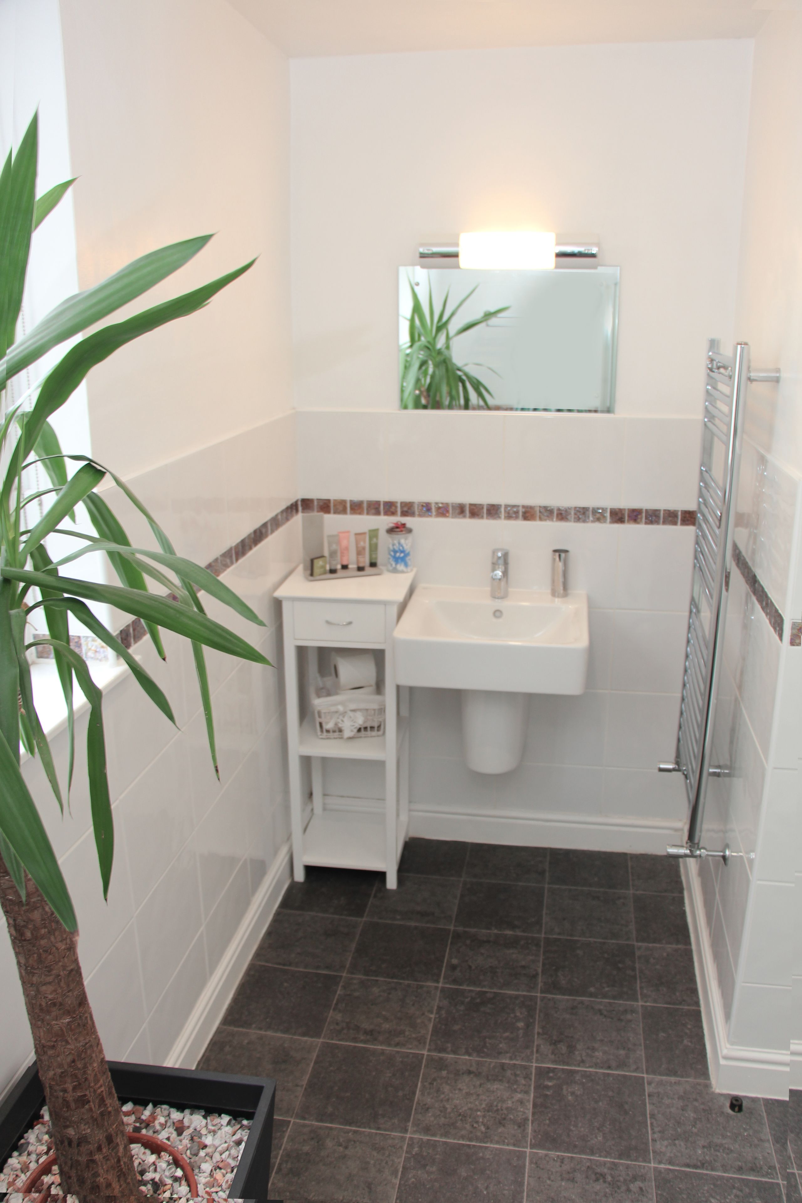 A bathroom with a white sink, a mirror, a towel rack, and a potted plant.