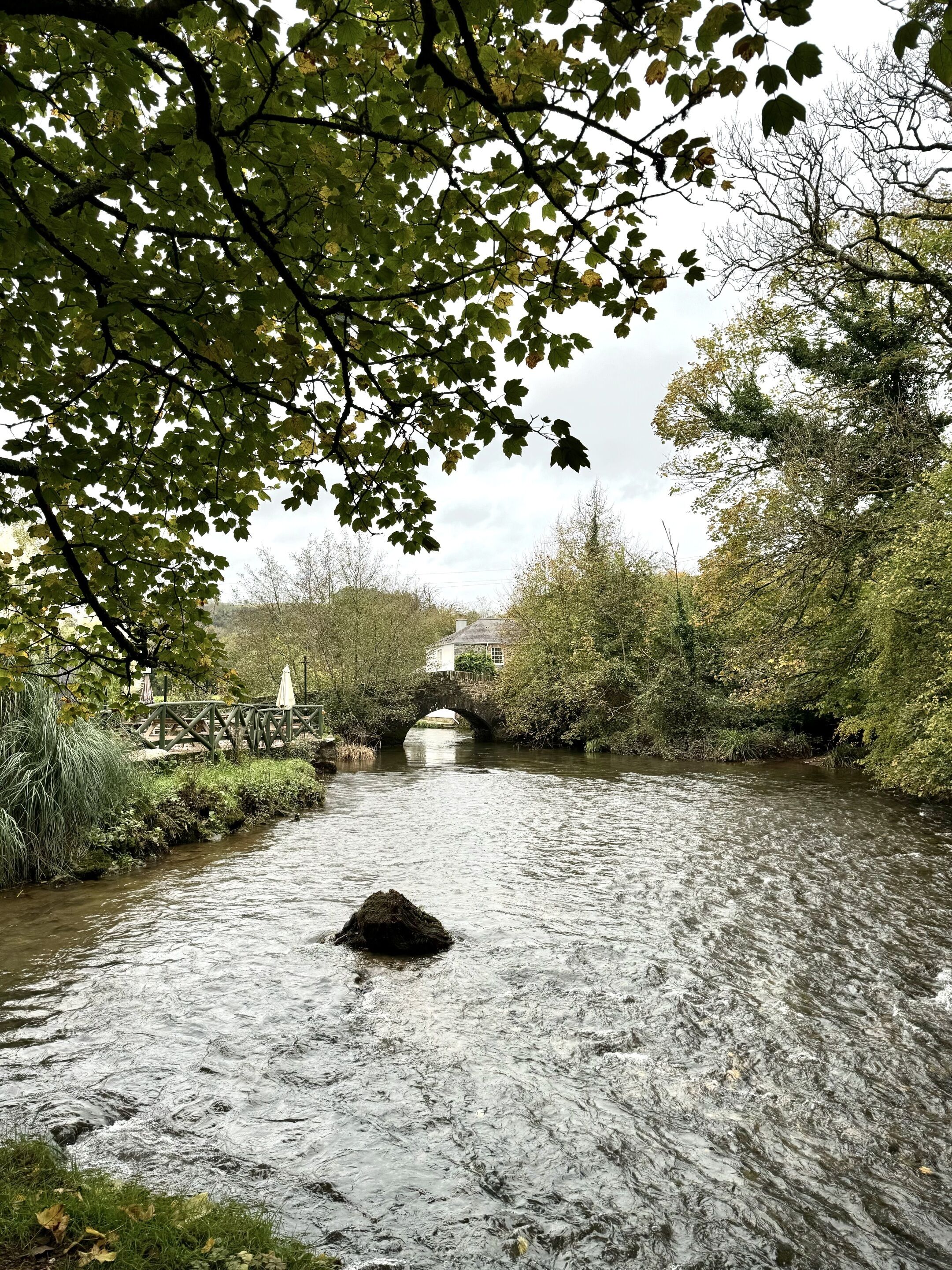 Un fiume con un ponte di pietra, circondato da alberi e vegetazione.
