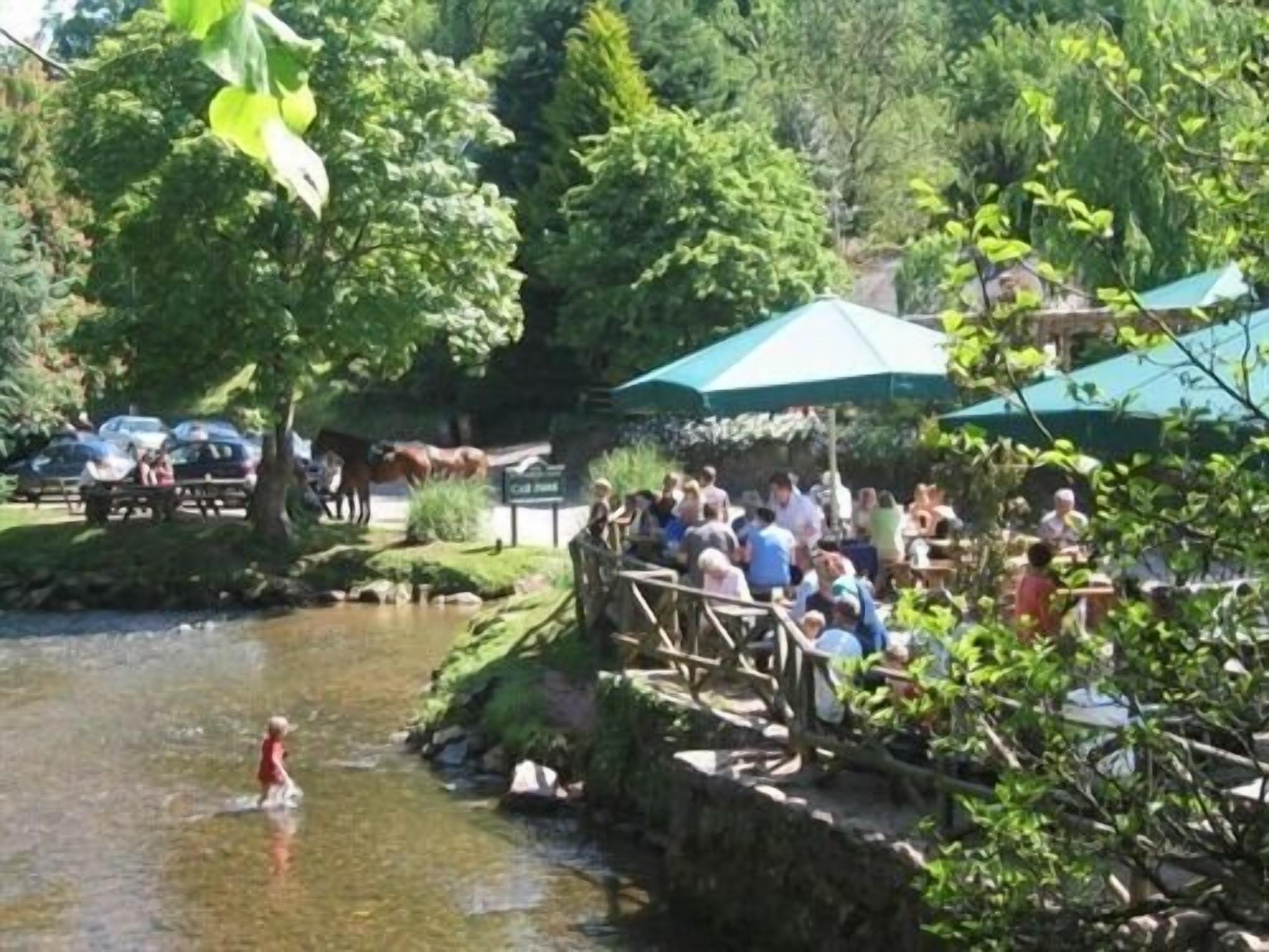 A riverside park with picnic tables and umbrellas, surrounded by lush greenery.