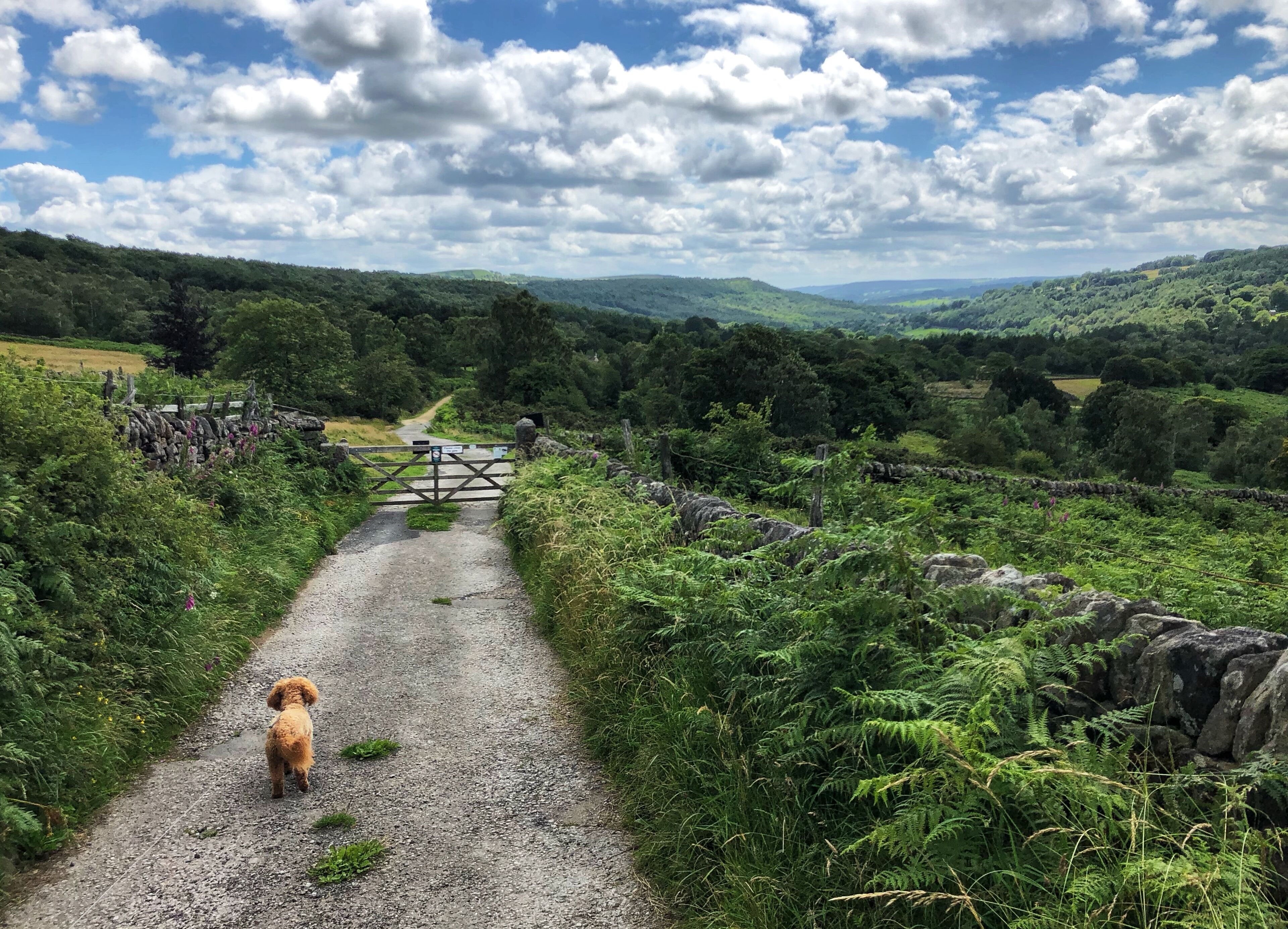 Foto - Millstone Country Inn