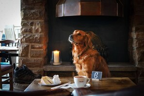 Se sirven desayunos, almuerzos y cenas