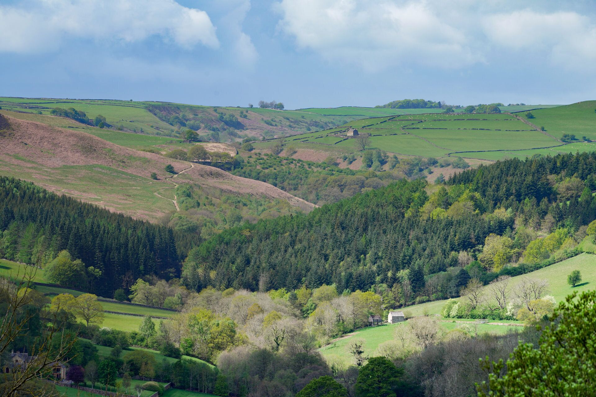 Foto - Millstone Country Inn