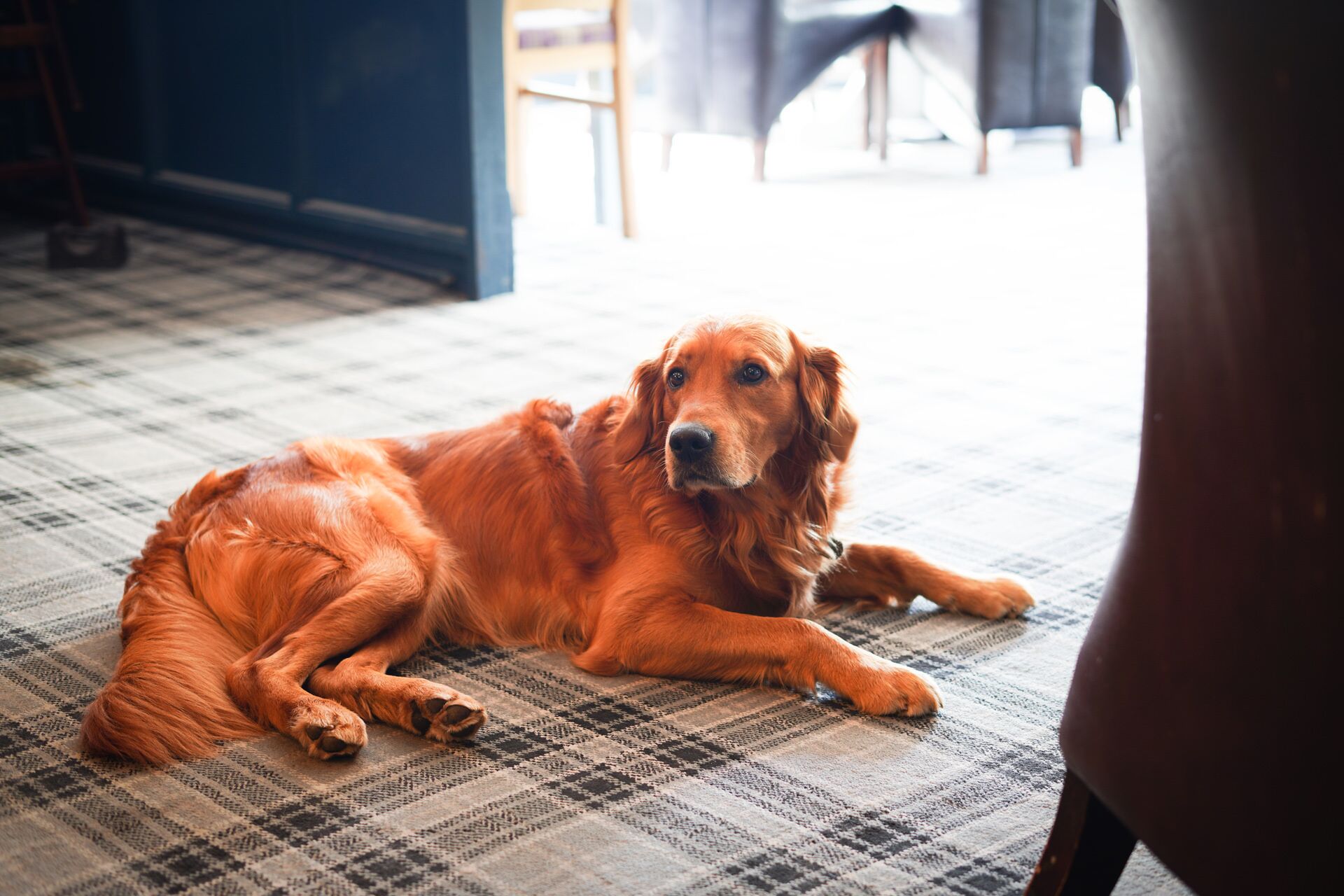 Foto - Millstone Country Inn