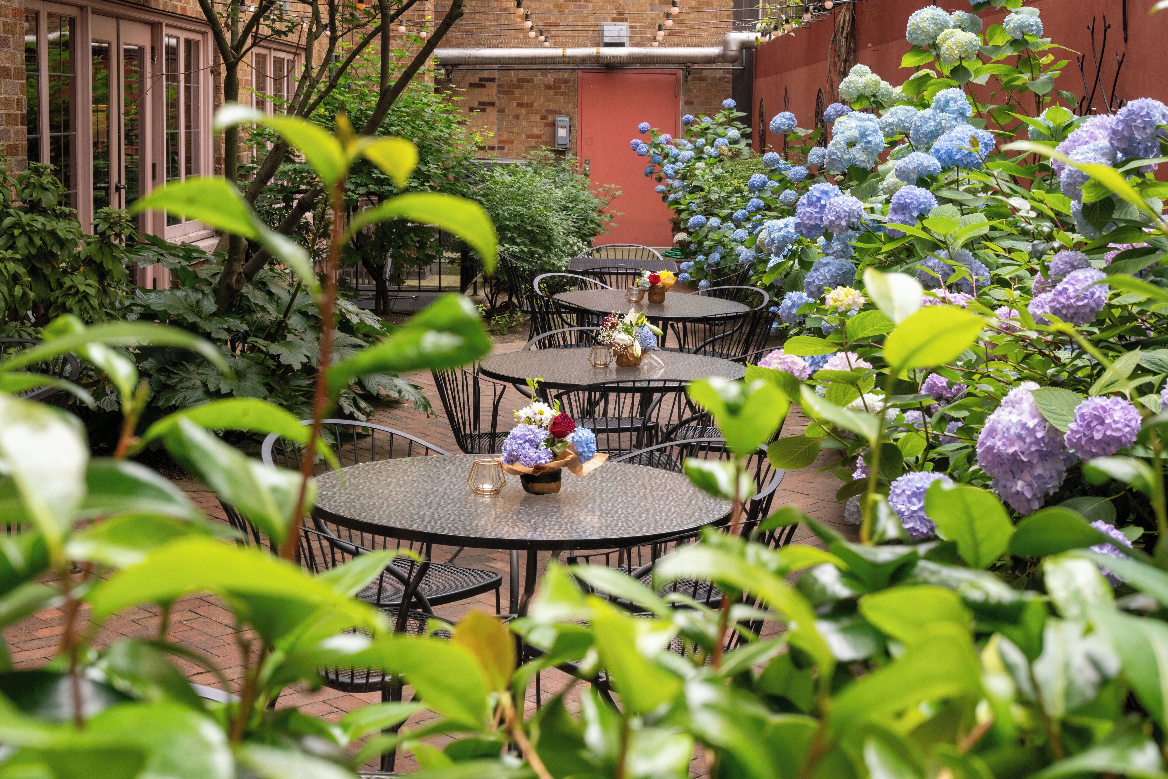 Foto - The Inn at Virginia Mason