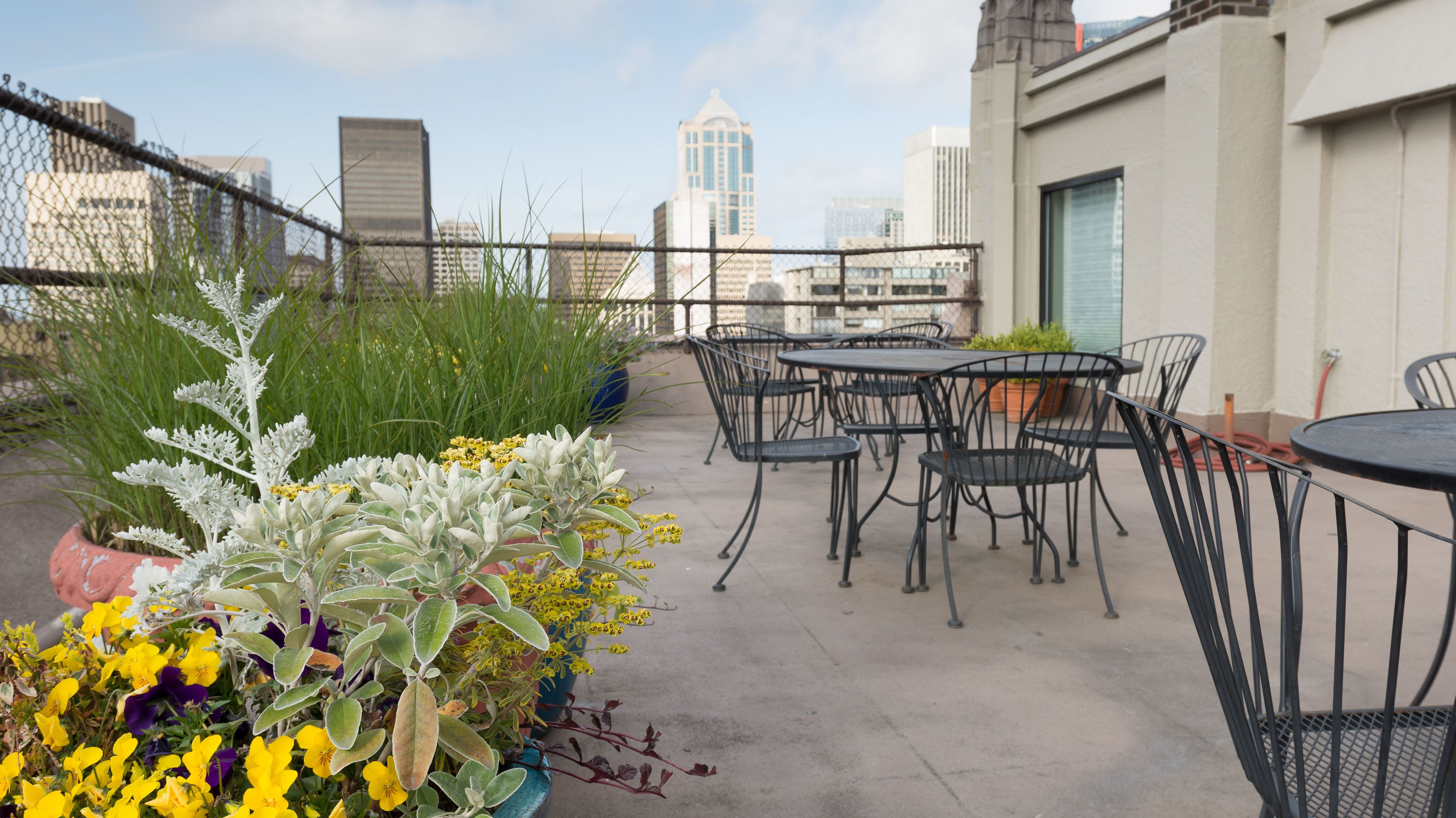 Um terraço no telhado com área de estar ao ar livre, plantas em vasos e vista para o horizonte da cidade.