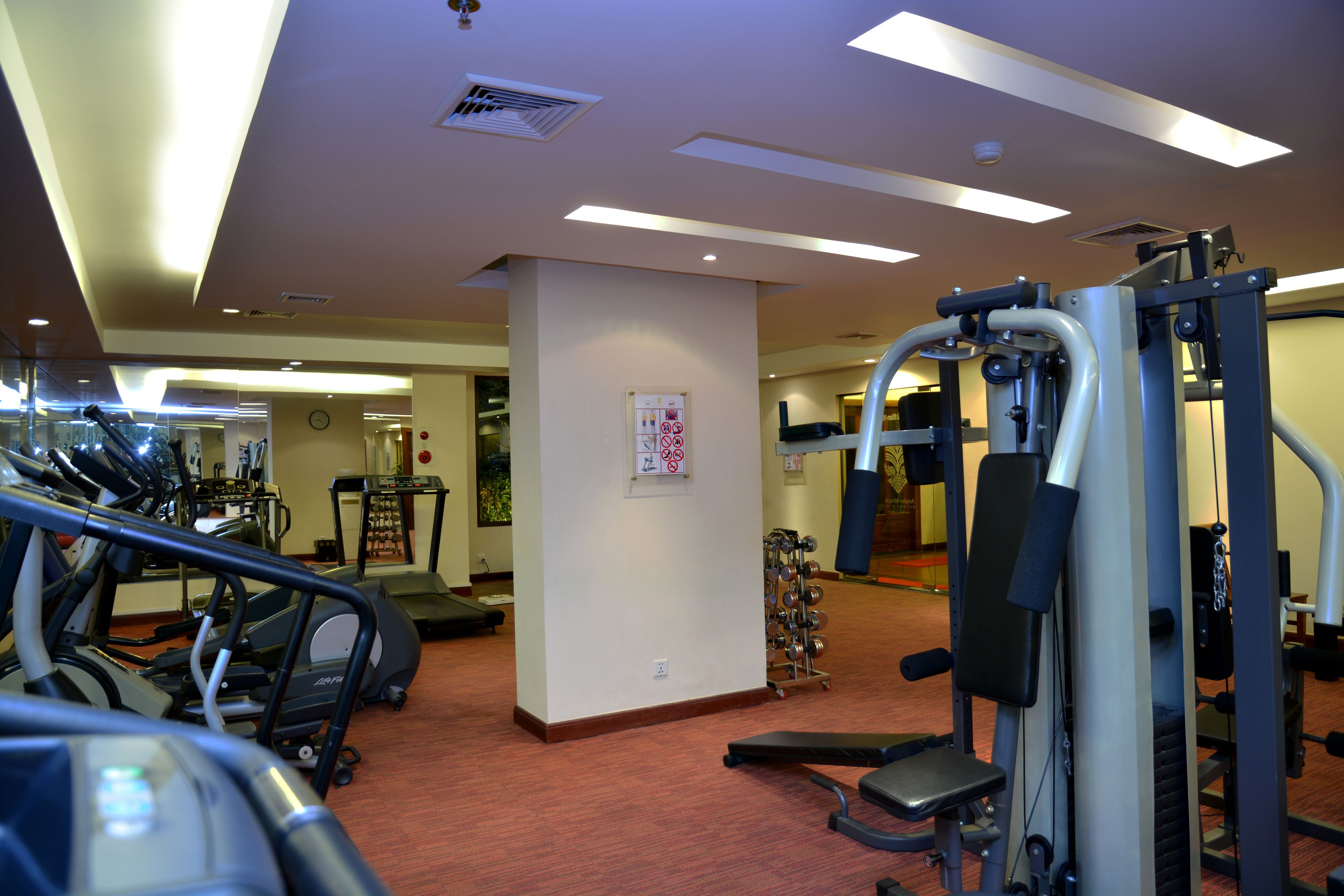 A gym with treadmills, elliptical machines, and weightlifting equipment.