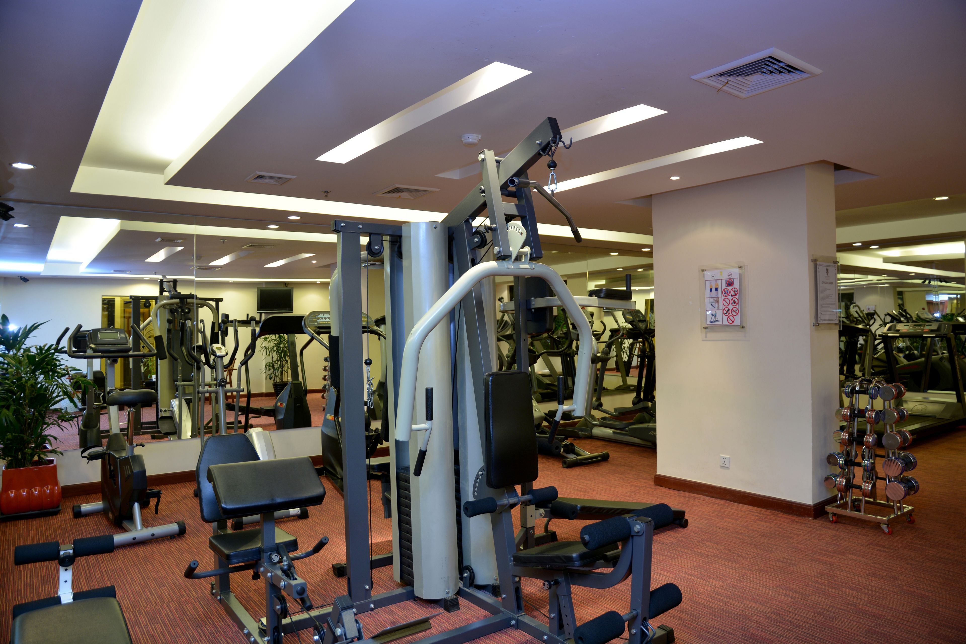 Un gimnasio con varias máquinas de ejercicio, una banca y un estante con mancuernas.
