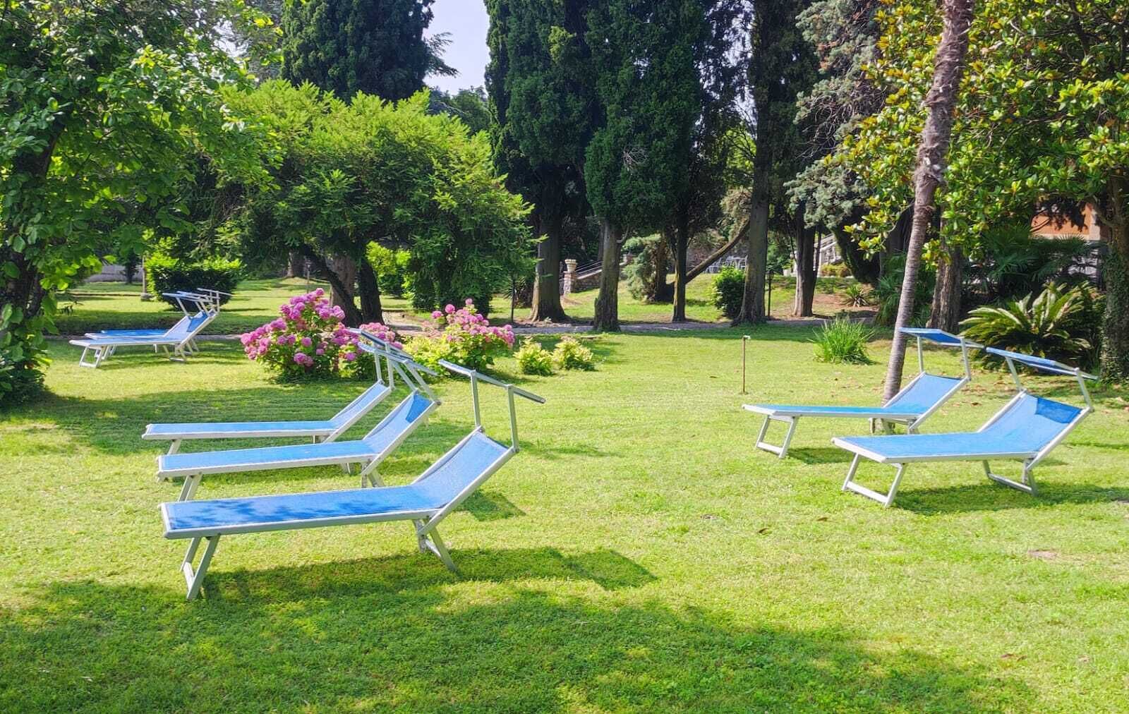 Ein Garten mit mehreren blauen Liegestühlen, die auf einer Rasenfläche angeordnet sind, umgeben von verschiedenen Bäumen und Sträuchern.