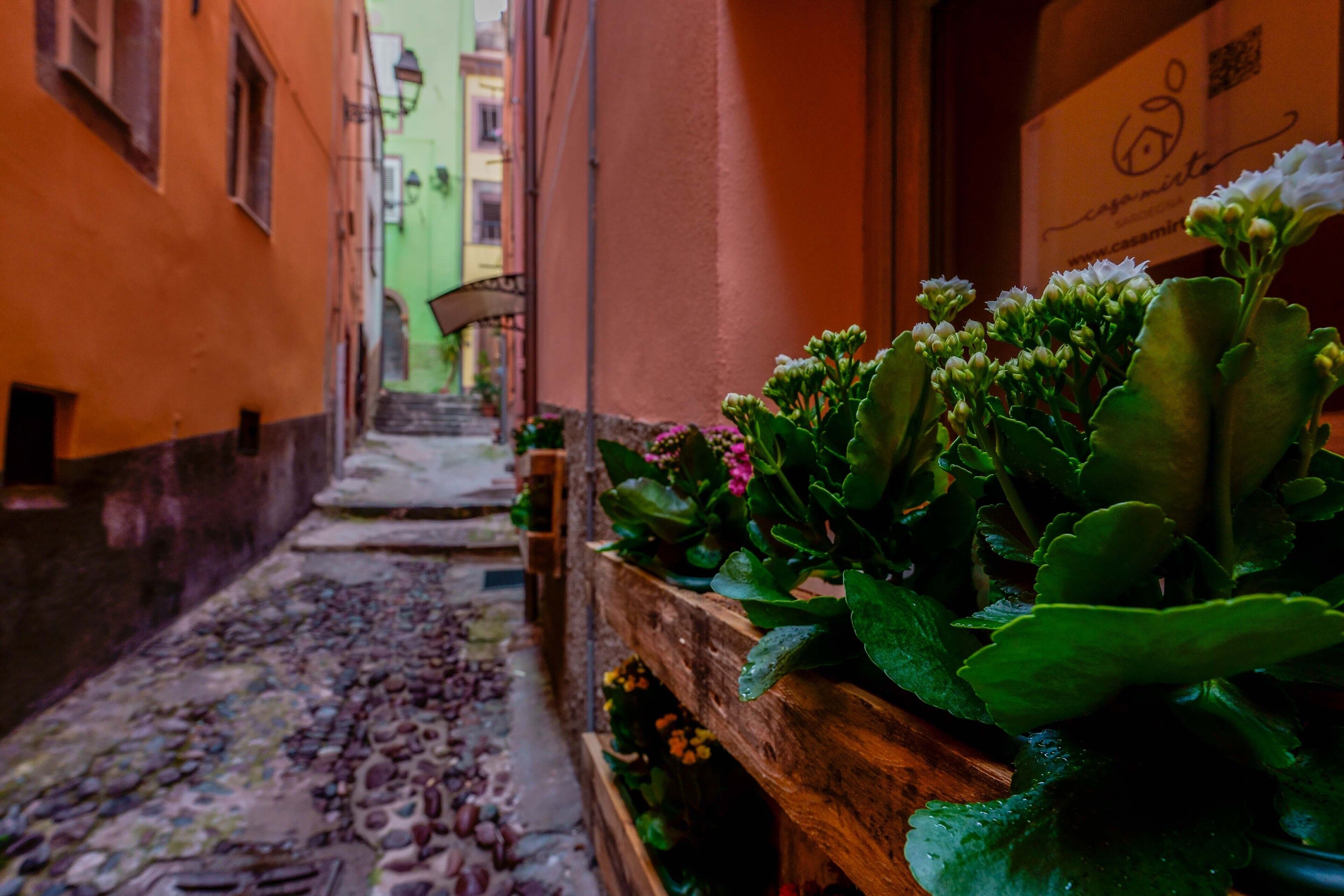 Foto - Palazzo Pischedda