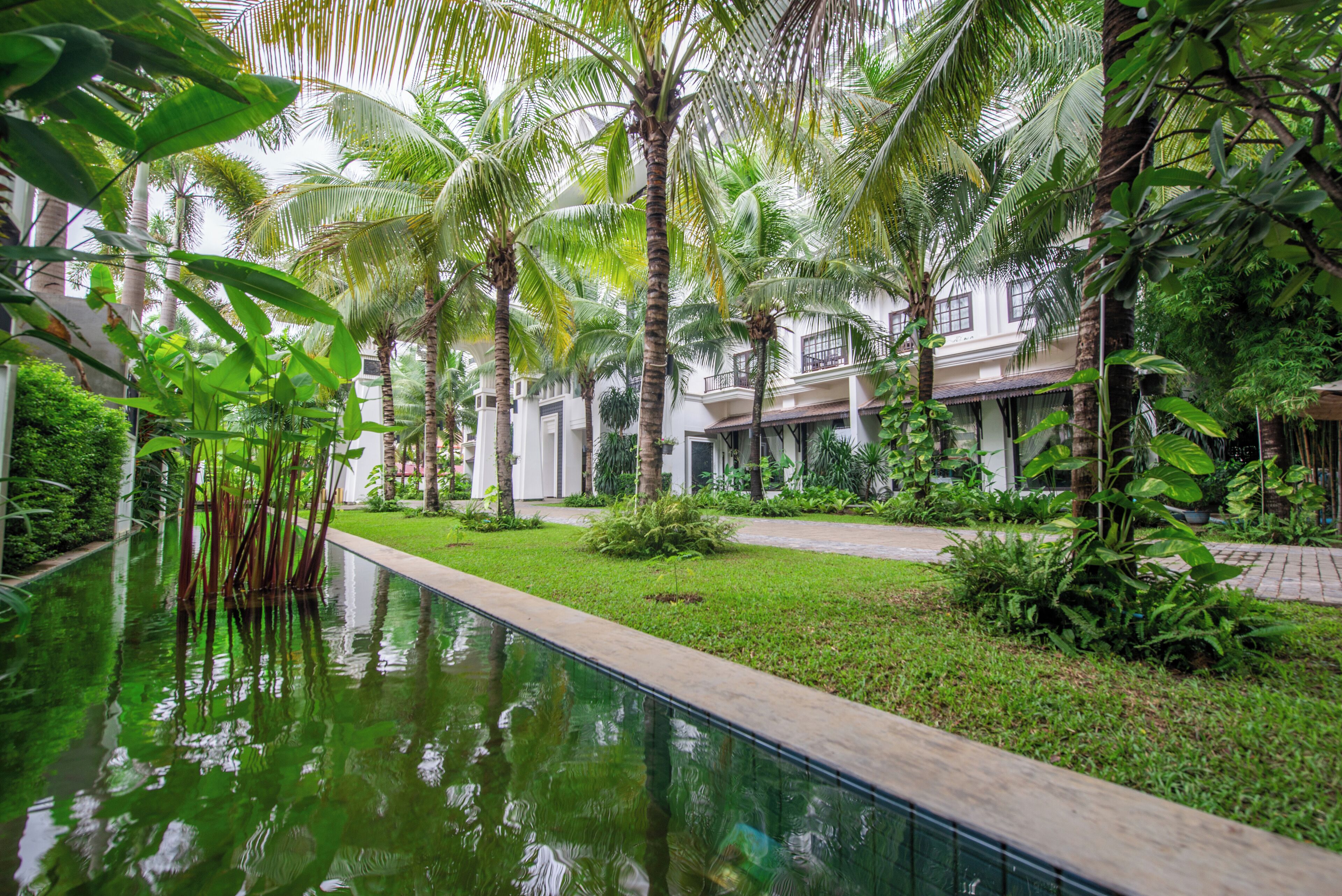 Foto - Lotus Blanc Resort