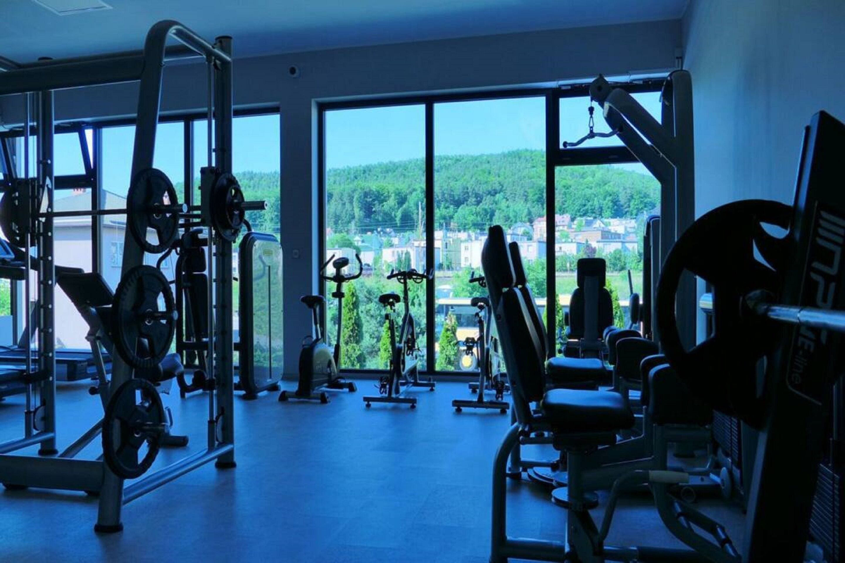 gym