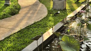 Un jardín con un sendero curvo, un estanque con hojas de loto y una estatua de Buda.