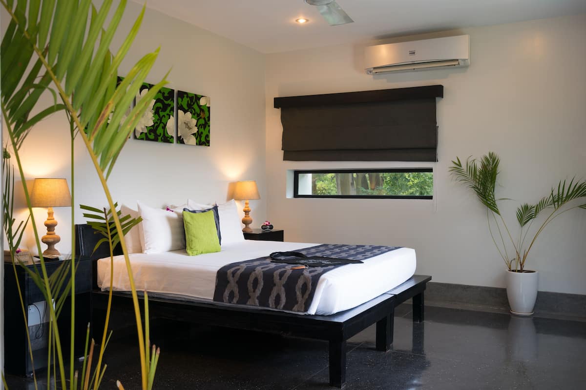 Terrace Room | เครื่องนอนระดับพรีเมียม, มินิบาร์, ตู้นิรภัยในห้องพัก, โต๊ะทำงาน
