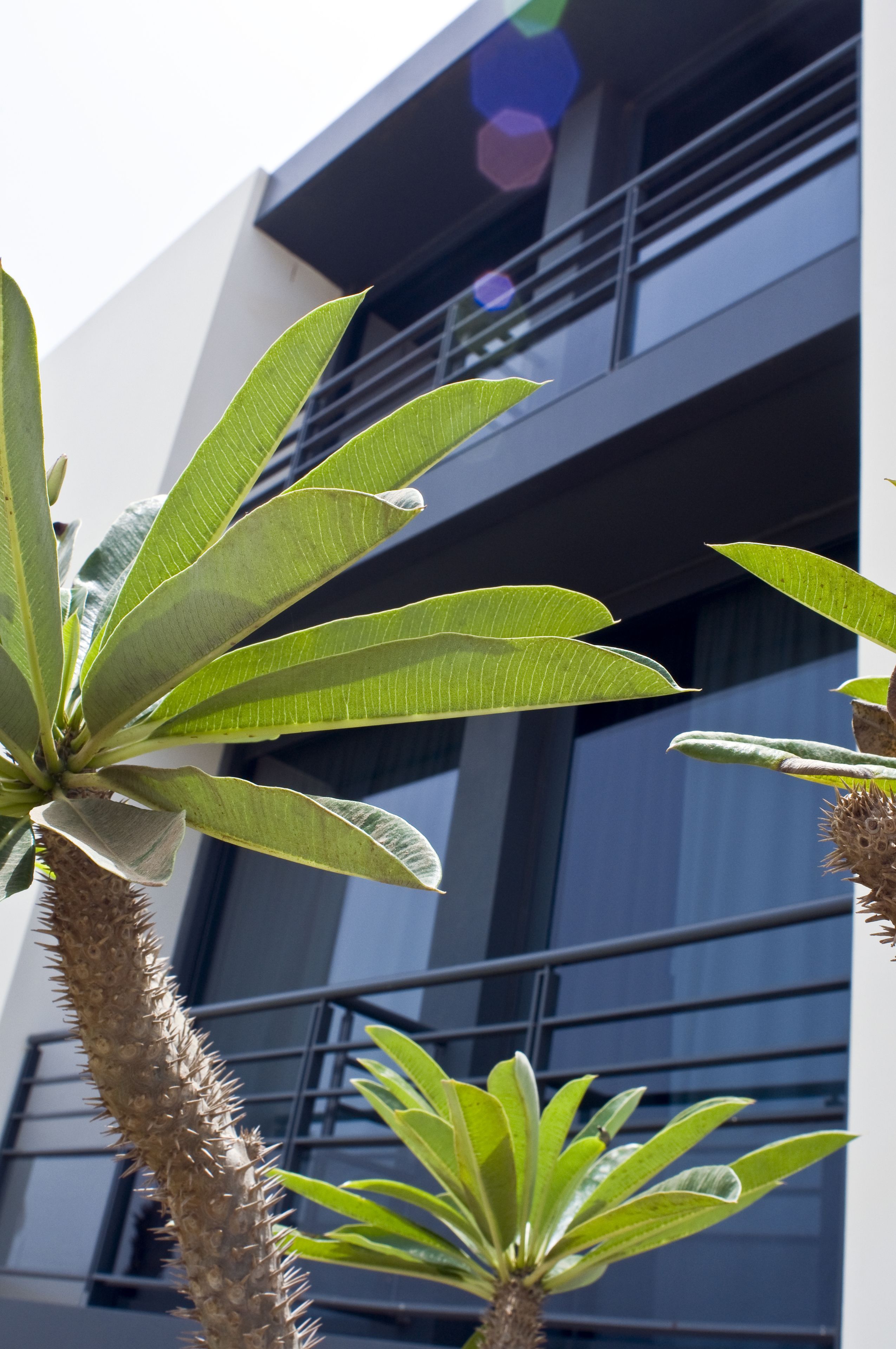 Photo - Noom Hotel Dakar Sea Plaza, a member of Radisson Individuals